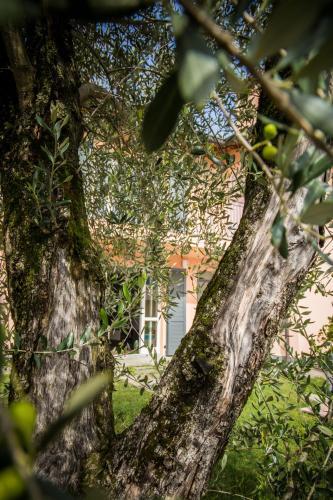 Apartamento Maison Casa Lavanda