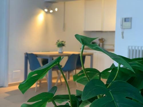 Camozzi Central Apartment