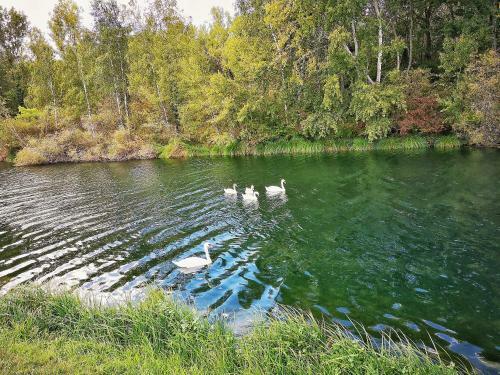 Apartamento Le Mont Blanc Sauna Privatif - Le Cl�t Couvert