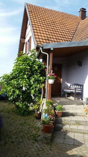 Apartamento Ferien Im Elsass