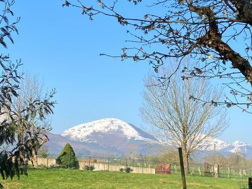 Bed & Breakfast Maison Amoraina