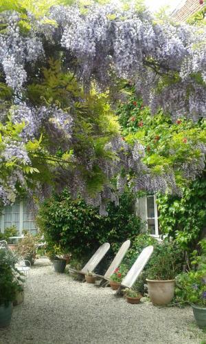 Hostal La Glycine