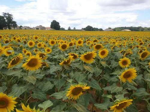 La Vieille Gorce - Gites & Bb In The Vienne