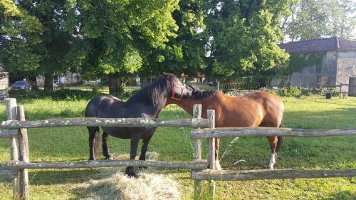 La Vieille Gorce - Gites & Bb In The Vienne