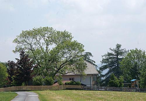 Hostal Gut Hiasenhof