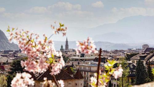 Apartamento App 5 Palazzo Cavour