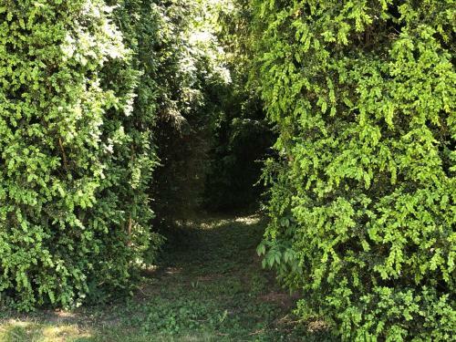 Hostal Le Baptist�re - Adults Only