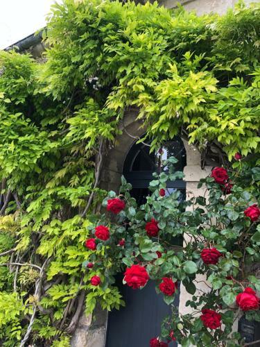 Hostal Le Baptist�re - Adults Only