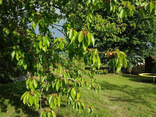 Entre Ville Et Campagne