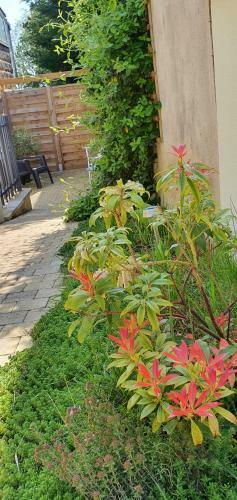 Entre Ville Et Campagne