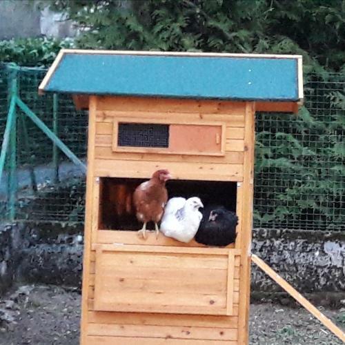 Gite "la 5�me Saison"