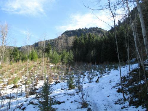 Gite "la 5�me Saison"