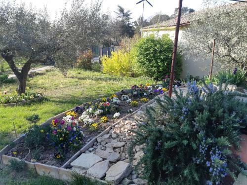 Au Coeur De L Olivette