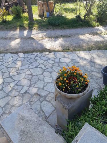 Au Coeur De L Olivette