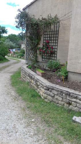 Au Coeur De L Olivette