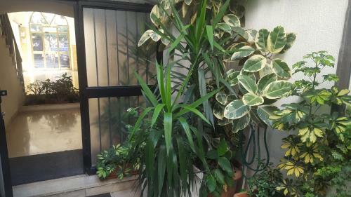 Awesomehouse Centre Bari