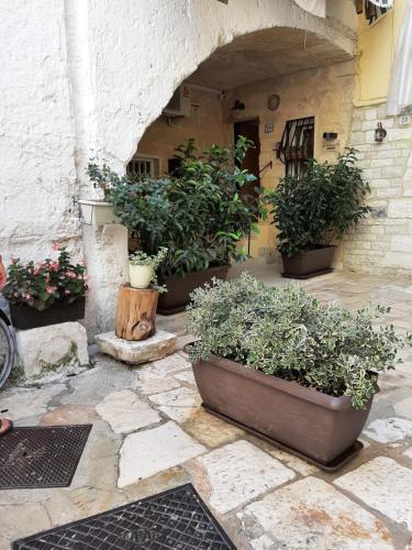 Apartamento Al Sottano 19