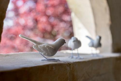 Bed & Breakfast Les Terrasses Suite Et Loft De Campagne