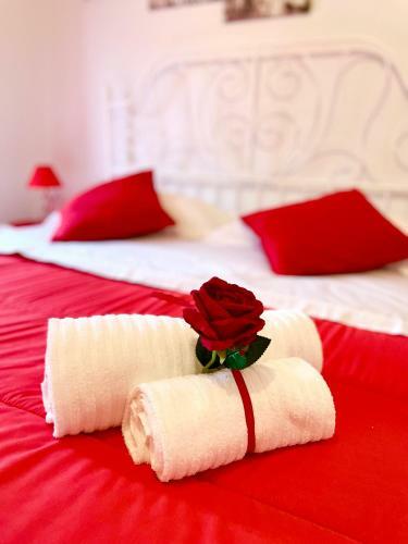 Luxury Apartment Savoia