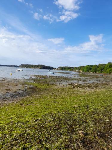 Apartamento Aux Portes Du Golfe