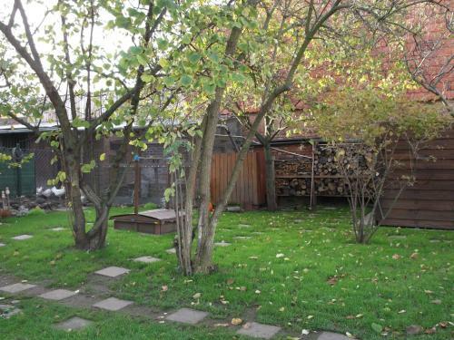 Apartamentos Ferienwohnung Harzgenuss