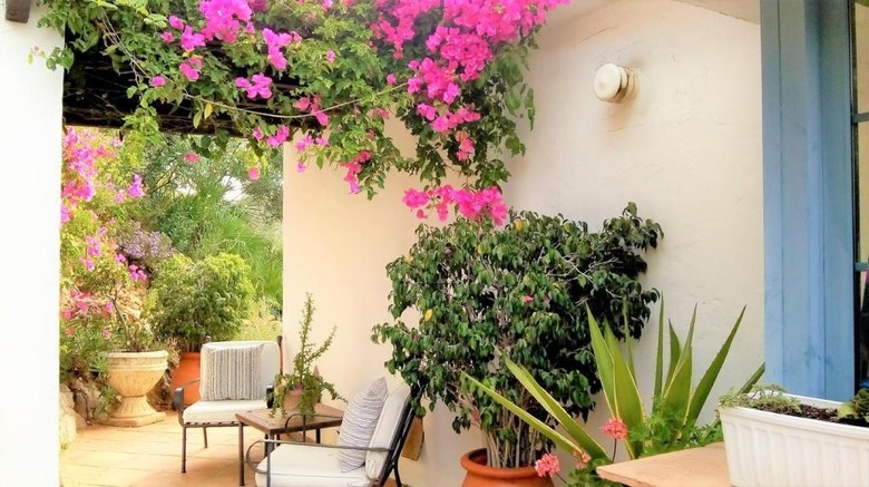 Hostal The Urban Villa