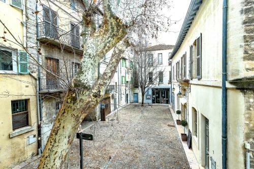 Apartamento Studios Entre Le Pont D' Avignon Et Le Palais Des Papes