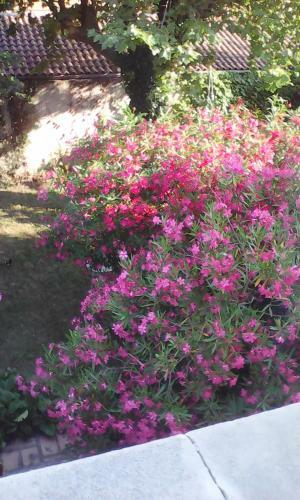 Bed & Breakfast Le Mas Des Dames Appartement