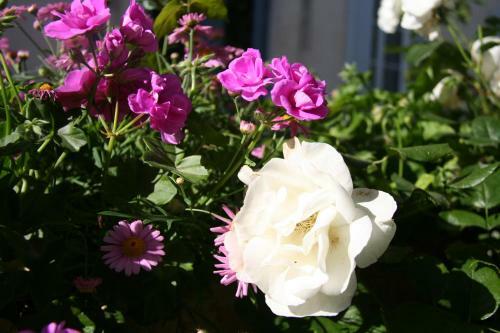 Bed & Breakfast Le Mas Des Dames Appartement