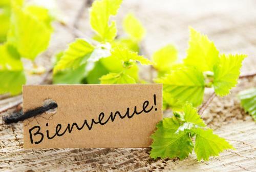 Yourte 4 Personnes Proche Provins Et Disney