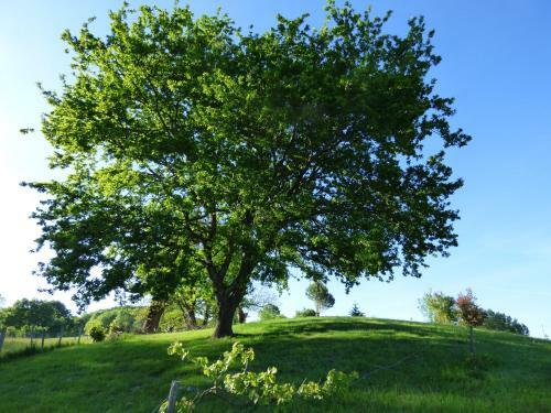 Hostal La Tiny Des 3 Pics