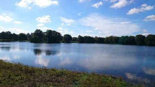 Apartamento Ferienwohnung Am See 1