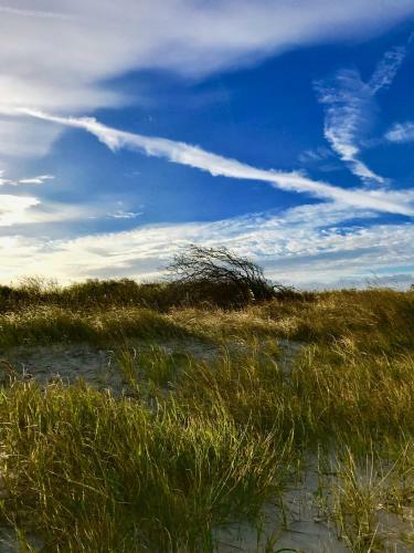 Apartamento Sand-an-den-fuessen (kleine Wohnung)