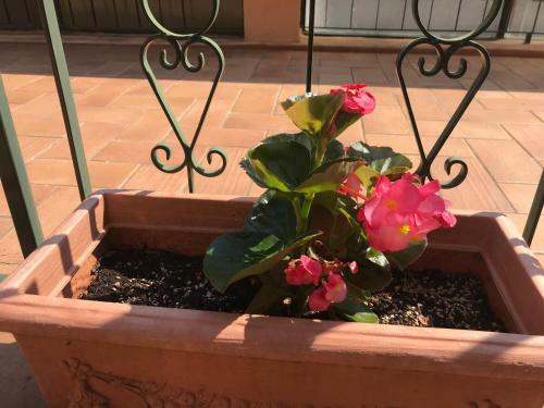 Apartamento Appartamento Dei Gerani