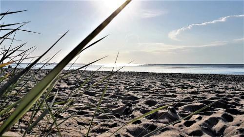 Apartamento Ferienwohnungostseeblick