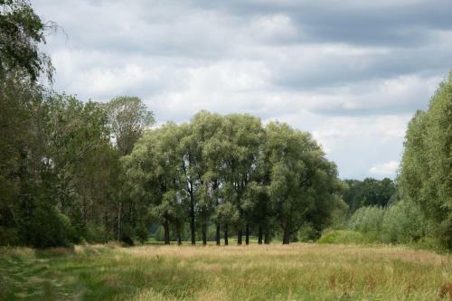 Hostal G�stezimmer Aschenbrenner