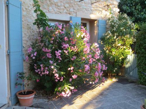 Bed & Breakfast Oustau Du Ventoux
