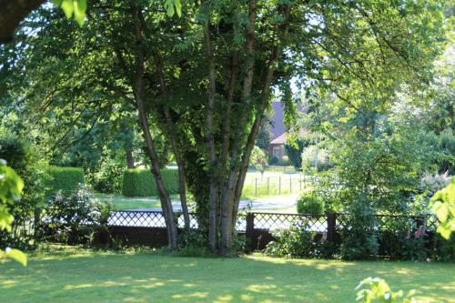 Apartamento Kapit�ns Huus
