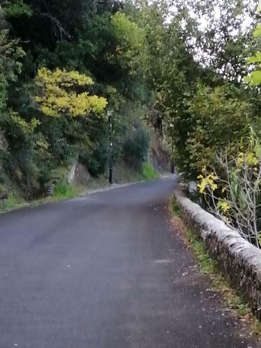 Location Maison Meubl�e Belvianes Et Cavirac