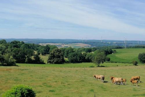 Apartamento Tina`s Weite Aussicht