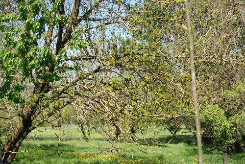 Apartamento Appartement Petite Vall�e