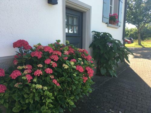 Bed & Breakfast Mit Charme- Aux2platanes- Au�ergew�hnlich Sch�n Am Bodensee