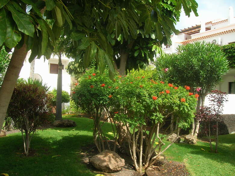 Apartamento Fairways Club