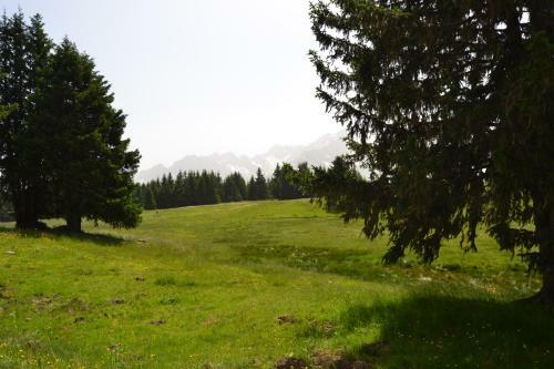 Hostal G�te De L'archevecal