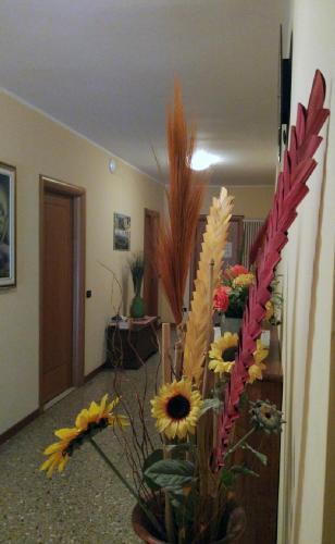 Bed & Breakfast Osteria Canal 1803