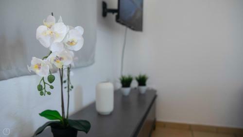 Apartamento Welcomely - Degli Artigiani