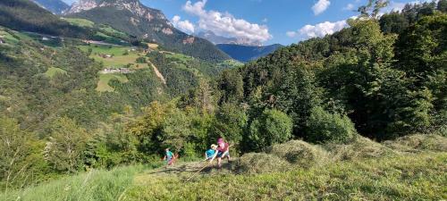 Apartamento Wohnung Rosengarten Heigler Hof