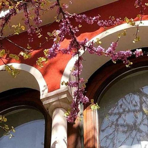 Villa Donati With Access To The Lake