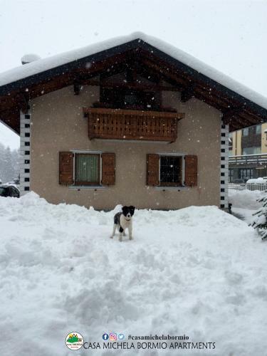 Apartamento Casa Michela Bormio