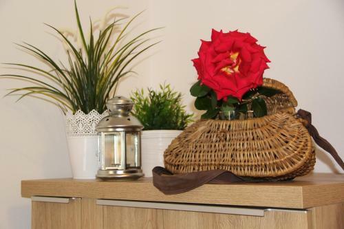 Apartamento Dolce Casa